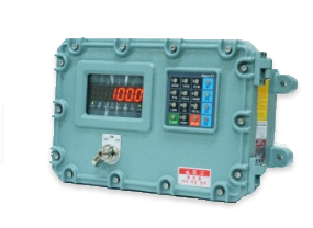 EXP-1000A(단순중량지시용)